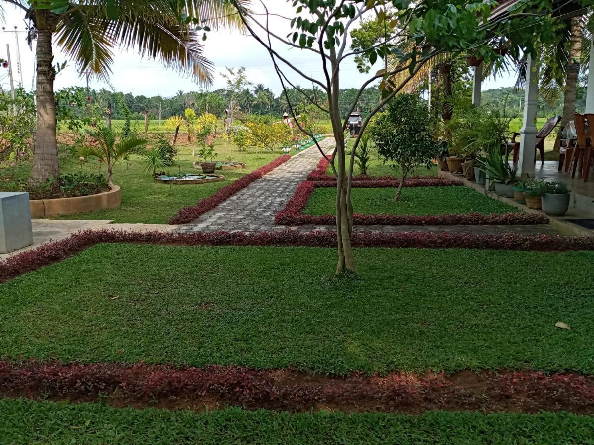 Nice View Lodge Sigiriya Exterior foto
